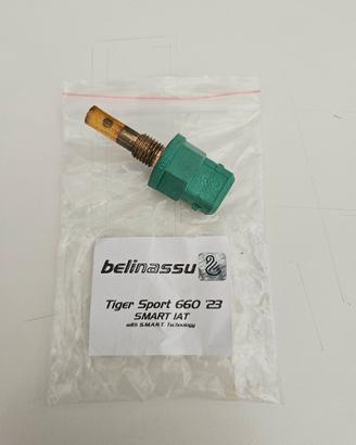 Sonda Smart IAT Belinassu Triumph 660