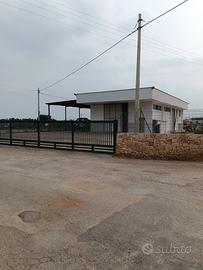 Locale commerciale con 4000 mq di pertinenza