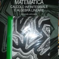 Matematica calcolo infinitesimale e algebra