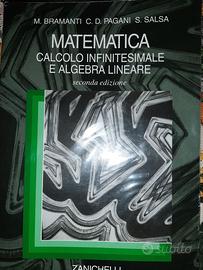 Matematica calcolo infinitesimale e algebra