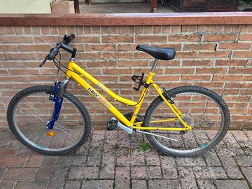 bicicletta mountain bike 