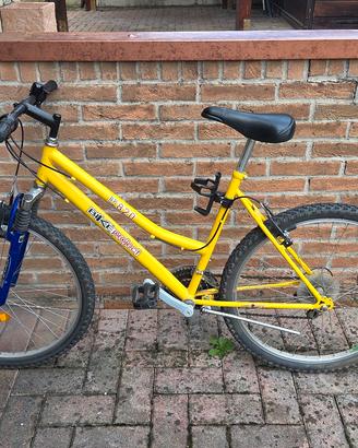 bicicletta mountain bike 