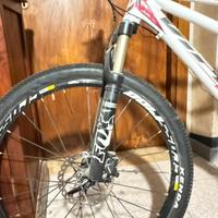 Tandem mountain bike