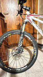 Tandem mountain bike