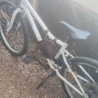 Bici con cambio shimano