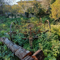 Attrezzi agricoli antichi