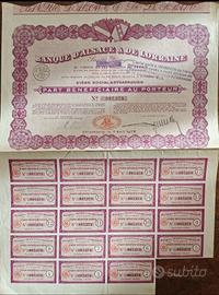Certificato Azionario Banque d'Alsace & Lorraine