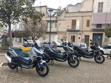 ZONTES 368G (PRONTA CONSEGNA) in Promo