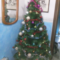 Albero di Natale
