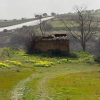 Terreno - Grammichele