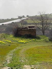 Terreno - Grammichele