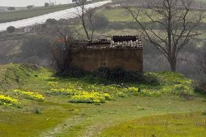 Terreno - Grammichele