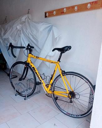  Bicicletta Bianchi pro race team