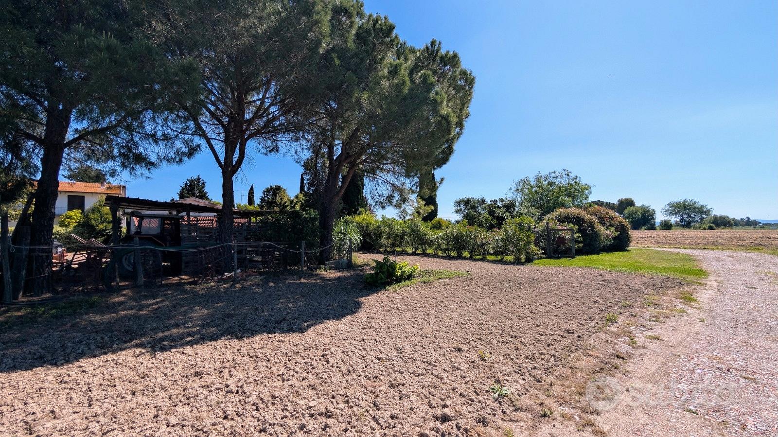 Podere con 2 appartamenti - Altro