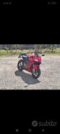 Honda CBR 600 - 2005