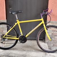 MTB 26" Coppi - Origgio (Va)