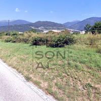 Terreno Artigianale/Industriale - Castelnuovo