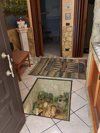 Casa Indipendente - Scicli