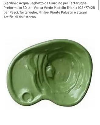 Laghetto tartarughe pesci