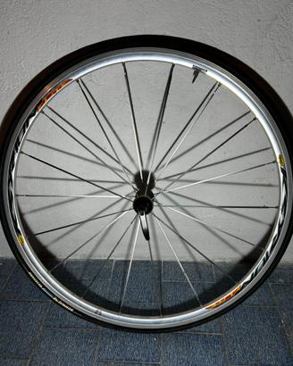 Ruota anteriore Mavic Ksyrium Elite