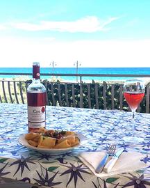 Accesso diretto alla spiaggia dalla proprietà