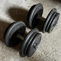 Pesi, Dischi palestra, manubri a vite