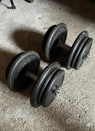 Pesi, Dischi palestra, manubri a vite