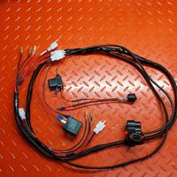 impianto elettrico husqvarna sm 125