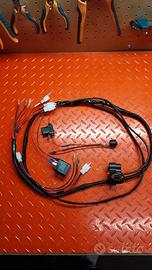 impianto elettrico husqvarna sm 125