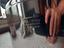 Immagine 3
