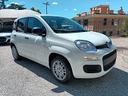 fiat-panda-1-0-firefly-s-s-hybrid-km0-pack-city