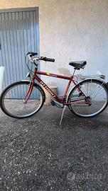 Bici da passeggio
