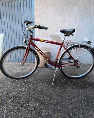 Bici da passeggio
