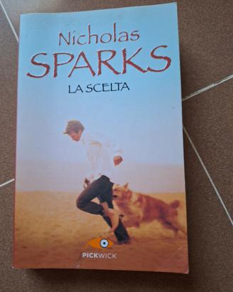 La scelta
