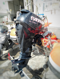 Ricambi Evinrude E-Tec 25/30CV , Calandra + Elica