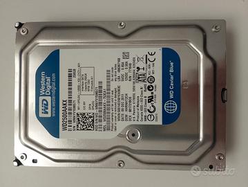 HD 250GB - WD Caviar Blue