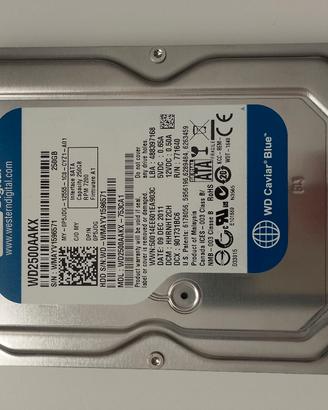 HD 250GB - WD Caviar Blue
