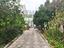 Immagine 29
