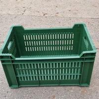 Bins e cassette per Frutta e Verdura