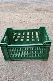 Bins e cassette per Frutta e Verdura