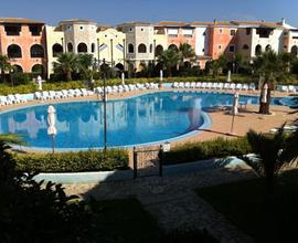 Borgo San Basilio ulivi 2 vista piscina
