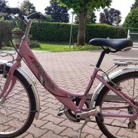 Bicicletta 10 anni