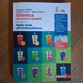 Chimica cocetti e modelli terza edizione