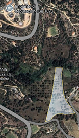 1 ettaro terreno Nuoro