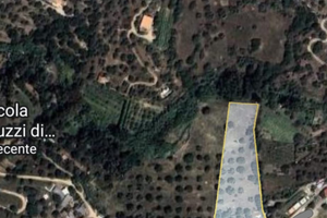 1 ettaro terreno Nuoro