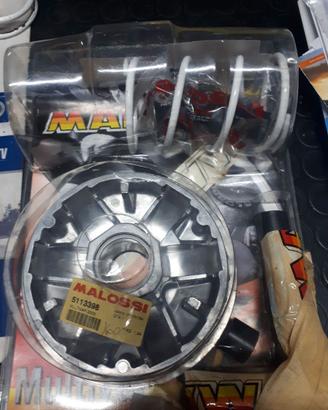 VARIATORE MALOSSI SH 300