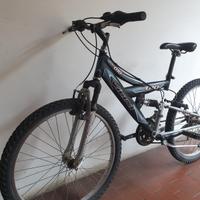 bicicletta bambino Vicini 24