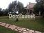 Immagine 5