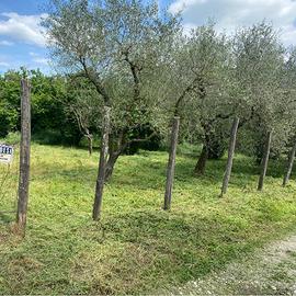Terreno agricolo 4500m