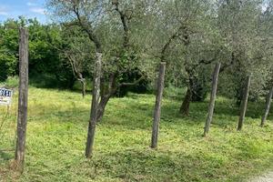 Terreno agricolo 4500m